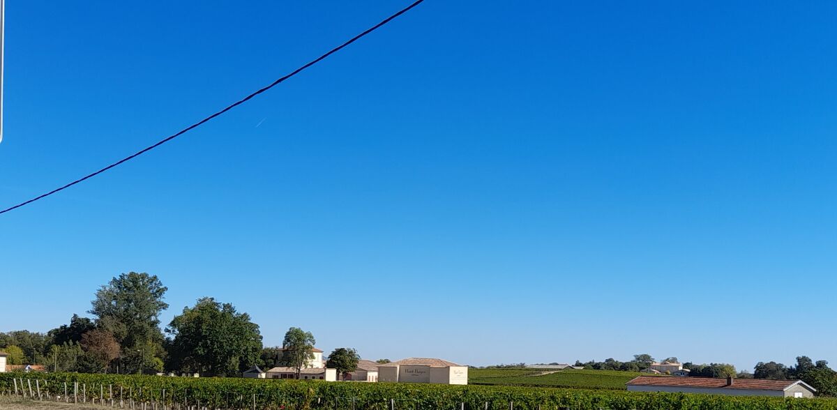 Vente Terrain à Pauillac (33250) - Clairimmo