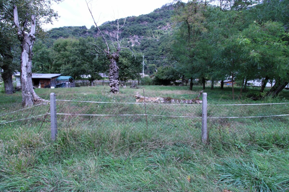 Image description