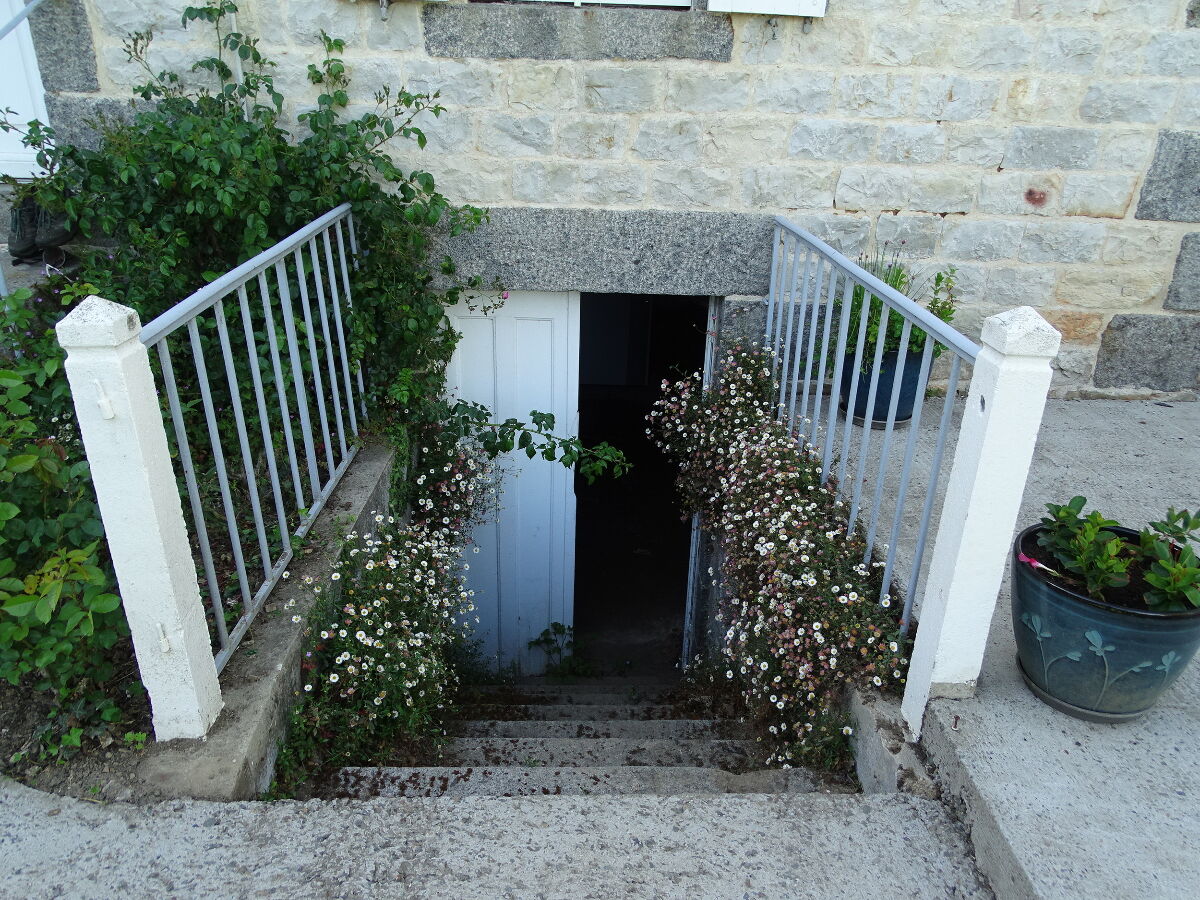 Image description