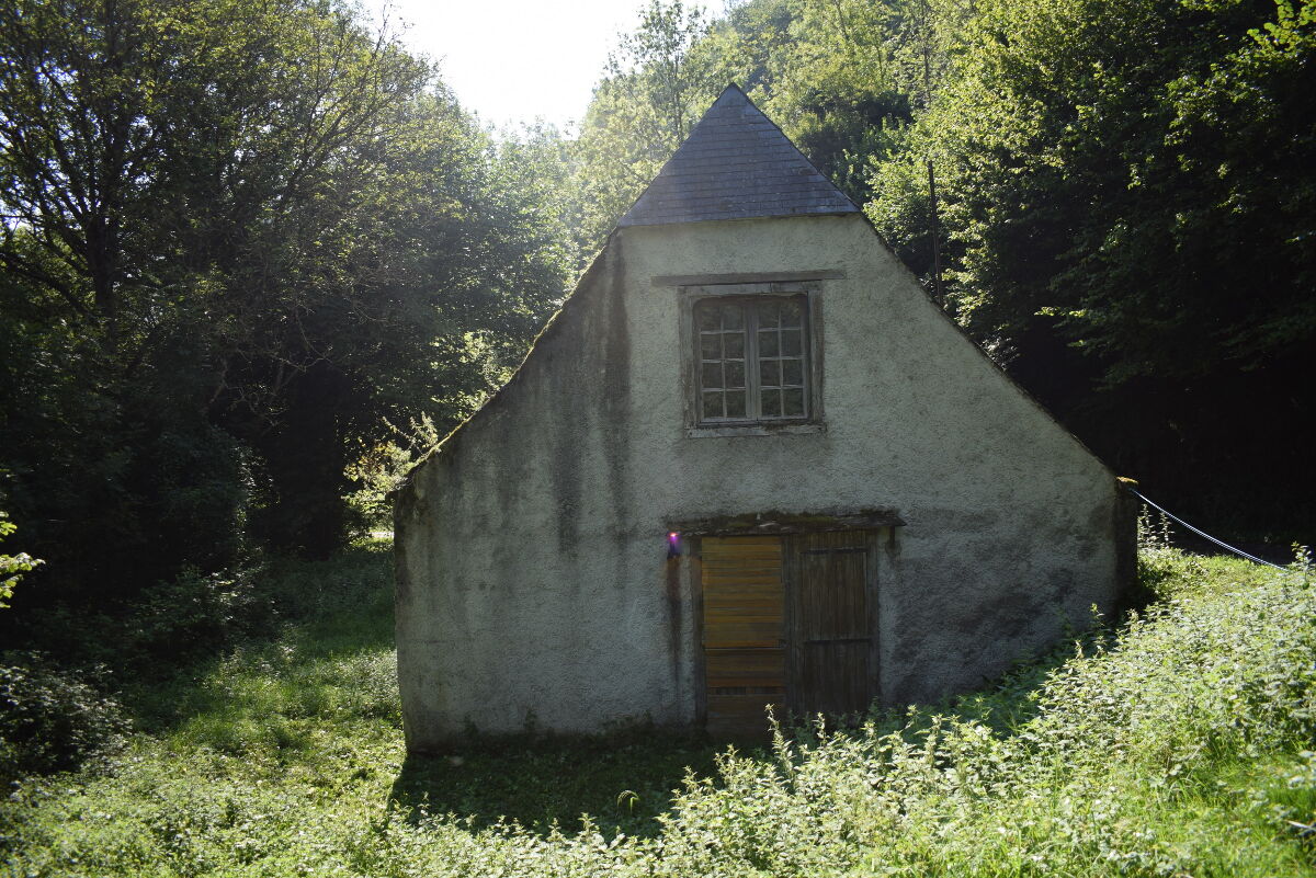 Image description